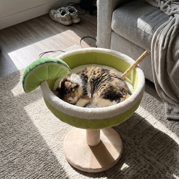 Sophie M.